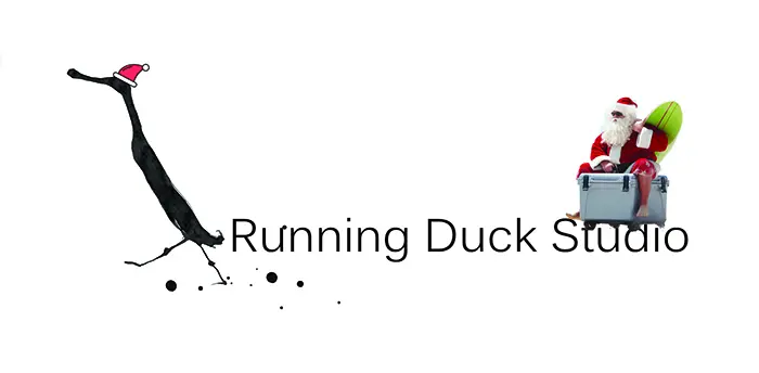 Christmas Present 2023: The Perfect Aussie Picks RDS logo with Christmas theme