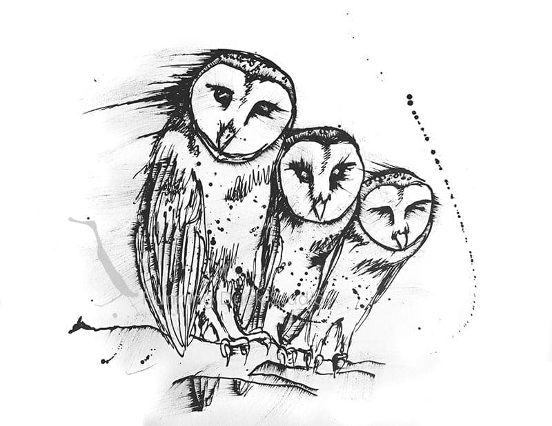 Running Duck Studio Ink Gallery - Artwork of three owls in a row