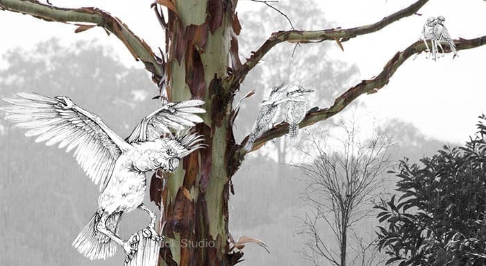 Rainy tree photo with bird drawings