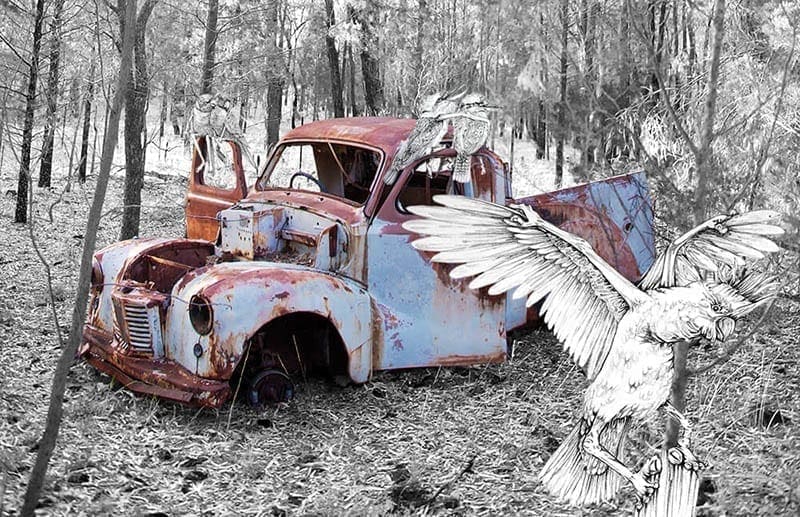 digital artwork of old truck and Australian Bird drawings