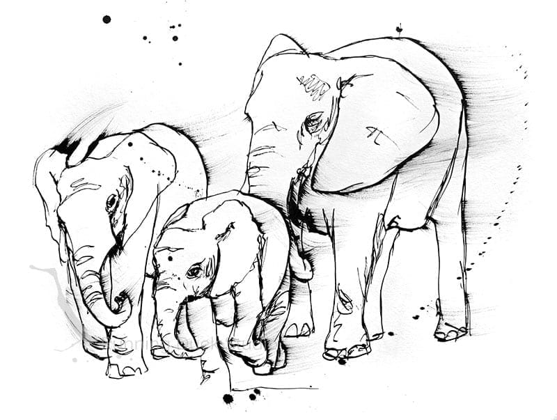 Painting of an elephant family damily