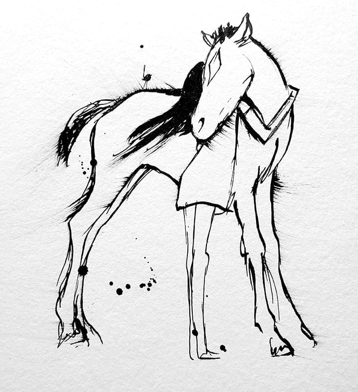 girl hugging a foal