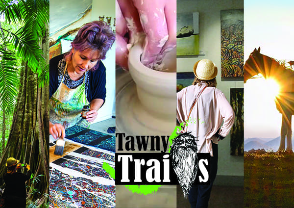 The Creation Of Tawny Trails Activities600L