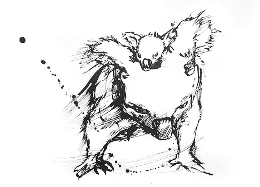 Black and white drawing of a koala walking with a koala baby on her back looking between her ears