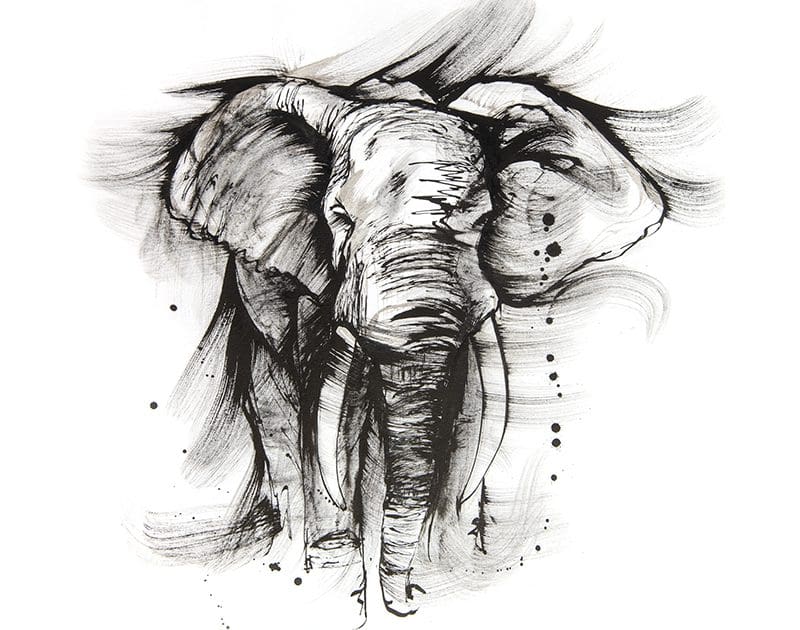 The Emotional Essence: How Hand-Drawn Art Connects Souls OldSoul RunningDuckStudio elephant800