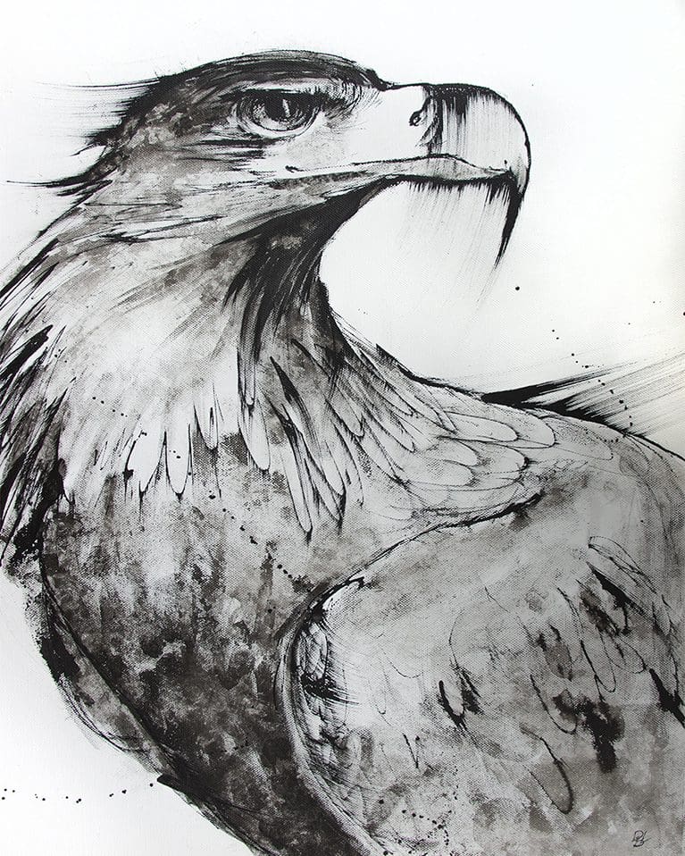 Black and white drawing of a Wedge Tailed Eagle