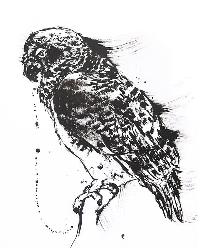 Black and white drawing of an powerful owl