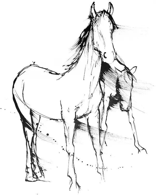 horses