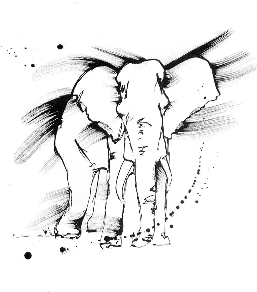 A black ink drawing of an elephant, with a gentle expression and a soft, muted colour palette.