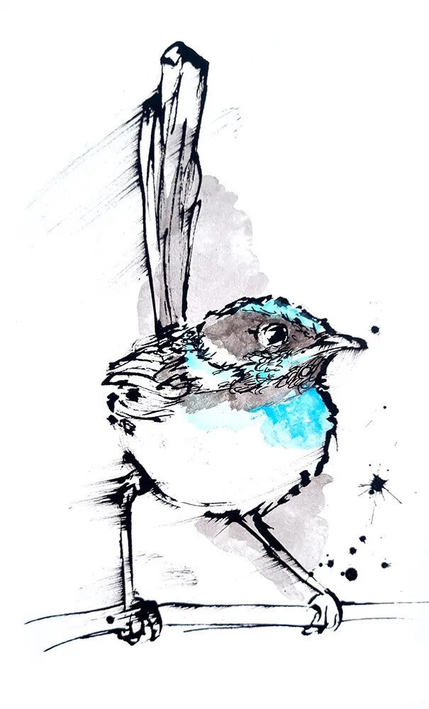 A watercolour and ink painting of a Fairy Wren perched on a branch, its feathers rendered in soft blues and whites, its eyes gazing directly at the viewer, its posture conveying a sense of quiet contemplation, the background a gentle wash of sky blue, the overall effect a sense of serenity and peacefulness, the medium a blend of watercolour and ink, the style a mix