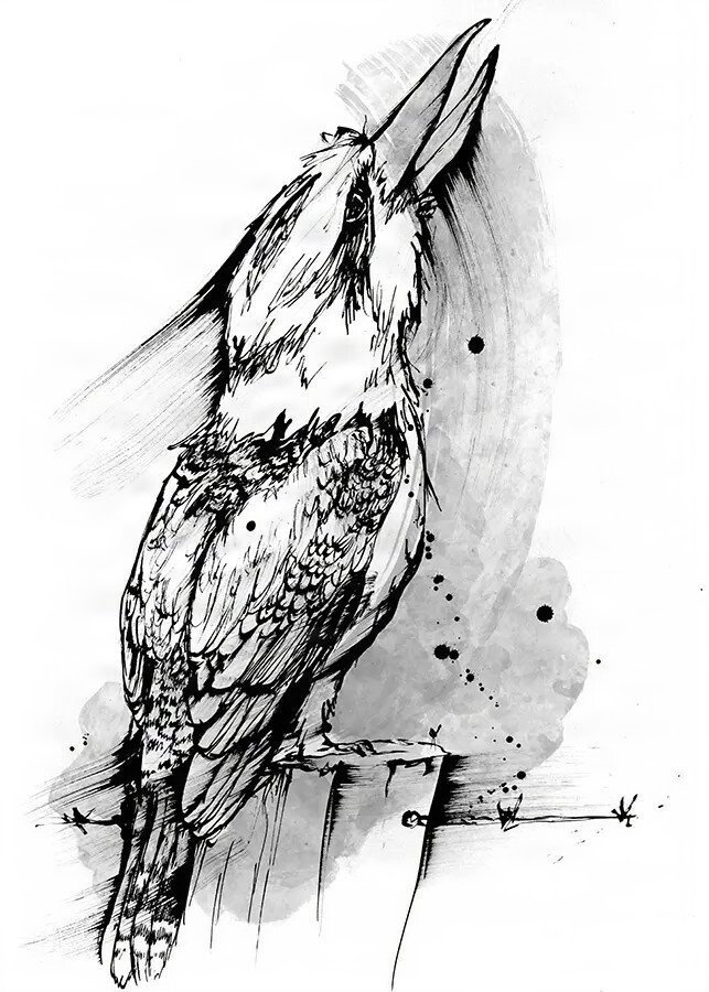 black and white artwork of an Australian Kookaburra singing