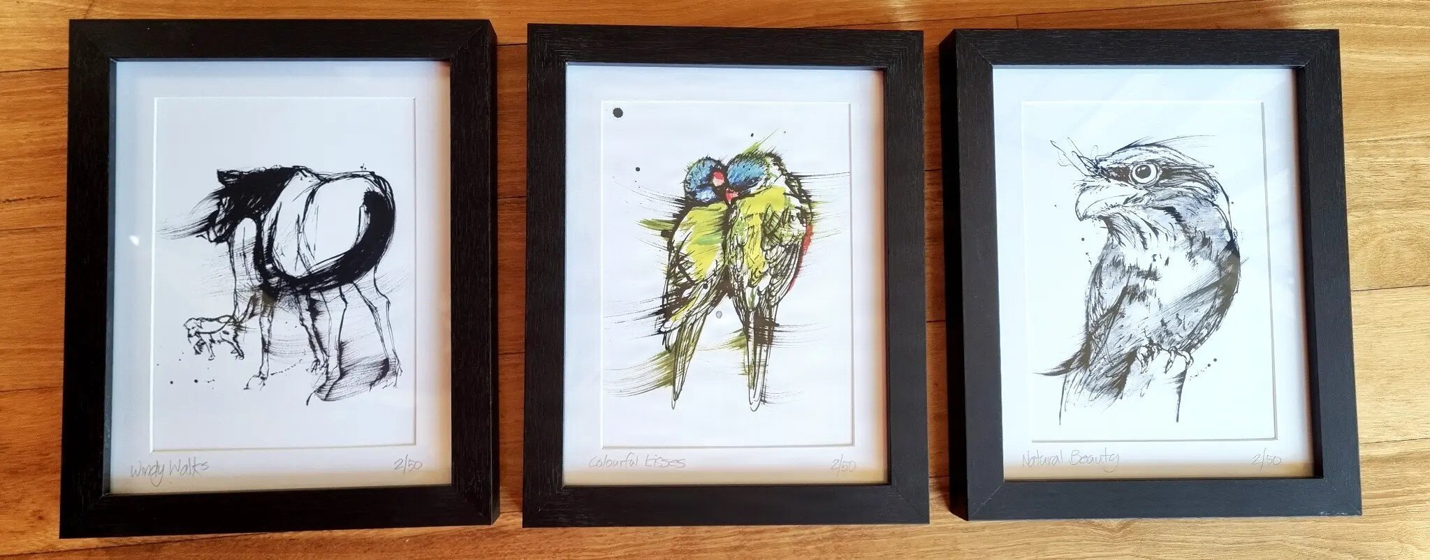 three framed art prints, a Tawny frogmouth, horse and rainbow lorikeets