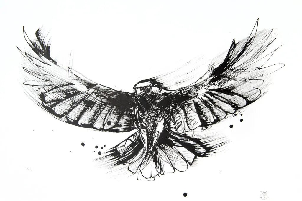 Black and white ink artwork of a crow in flight
