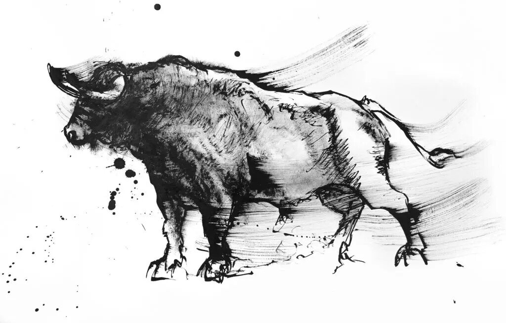 Black and white ink artwork of a bull