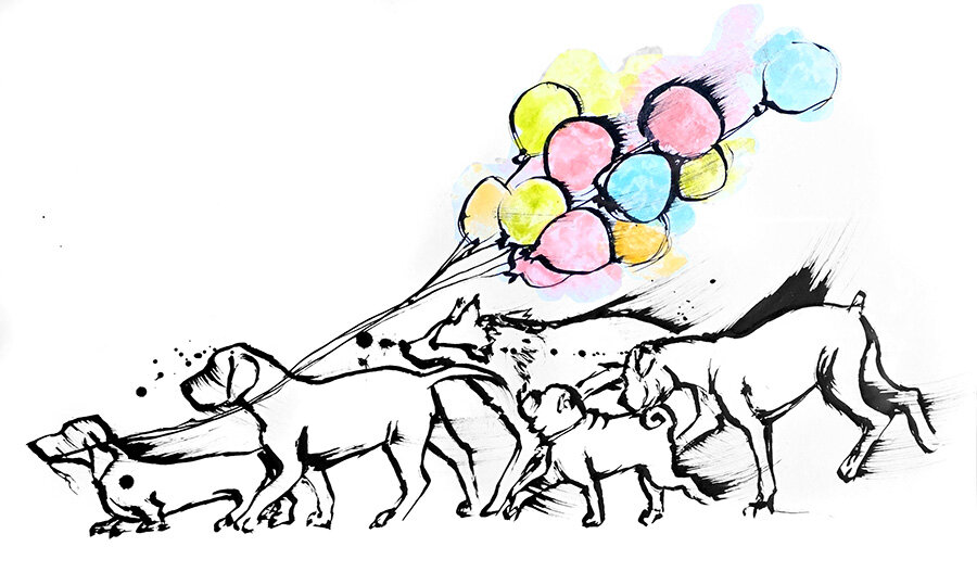 Black ink sketch of several dogs running in a line, pulling a cluster of pastel watercolour balloons in yellow, pink and blue.