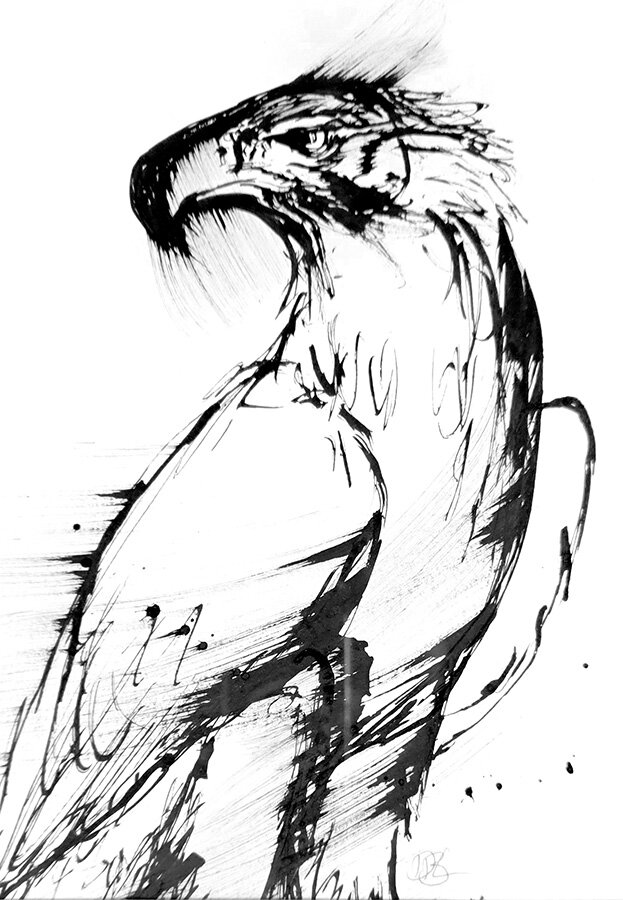 Black ink drawing of an eagle's head and chest in profile, with loose dripping brushstrokes and splatters on a white background.