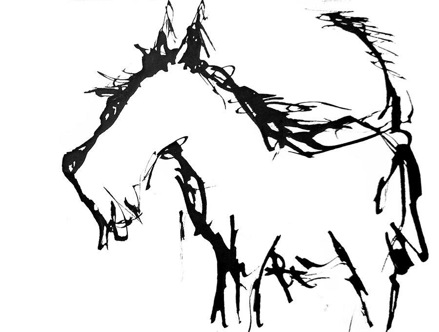 Black ink sketch of a terrier dog in profile, drawn with loose splattered brushstrokes and drips on a white background.