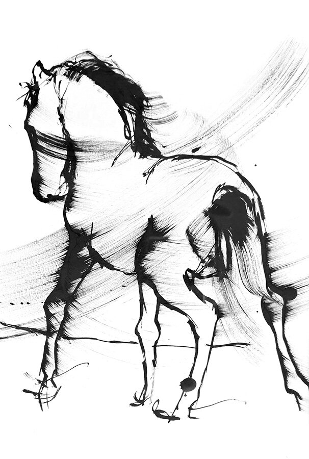 Black ink sketch of a horse titled "Freedom", walking with flowing mane and tail, drawn in loose gestural brushstrokes on white.
