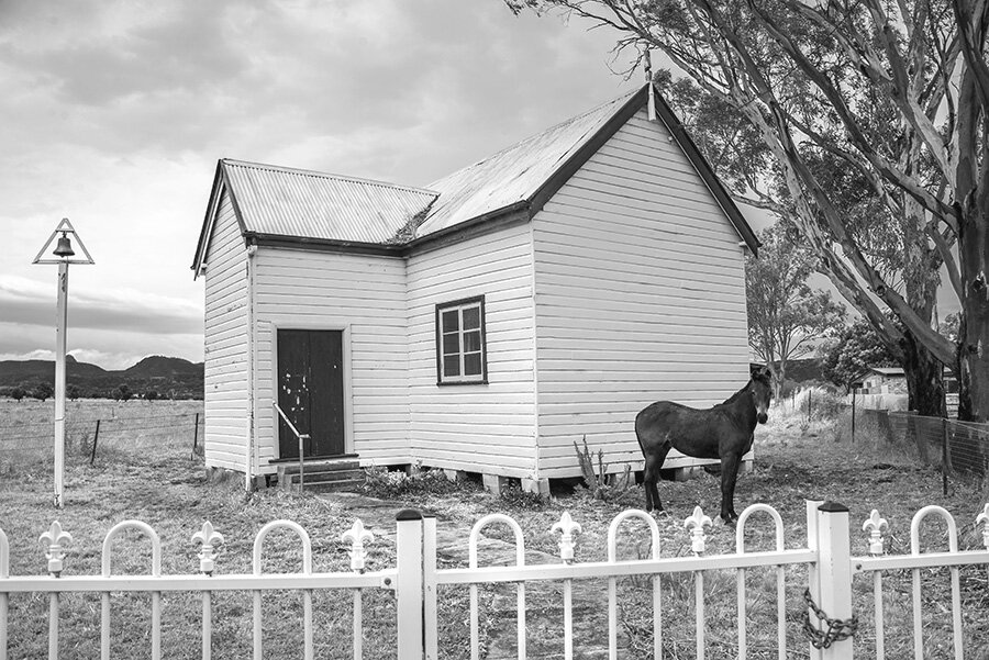 Black and white photo of a horse standing beside a white weatherboard rural schoolhouse with a bell post, gum trees and a picket fence.
