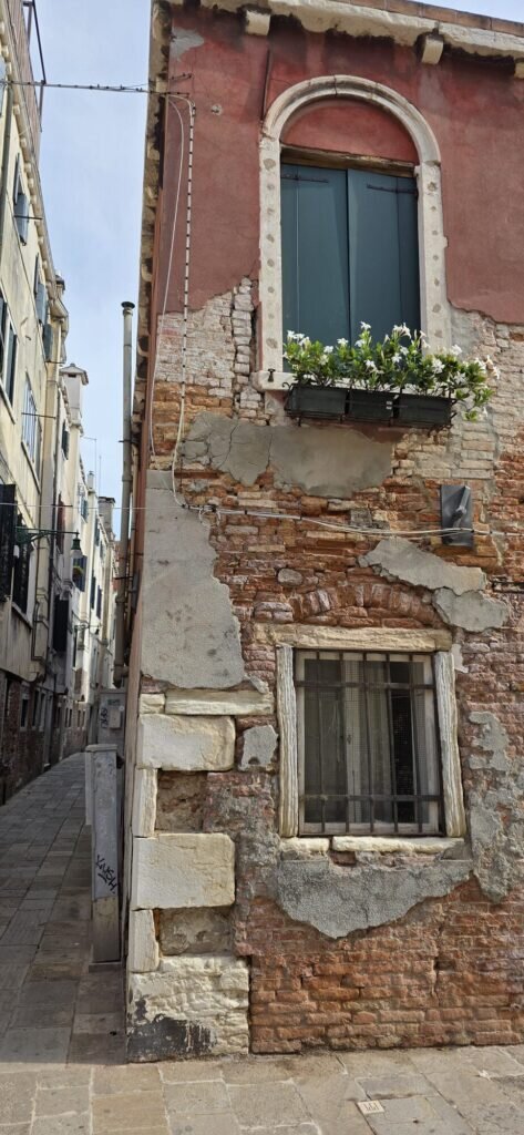 A crumbling Venetian wall with peeling plaster, old brick and a window box of white flowers