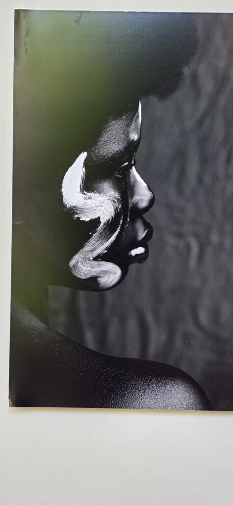 A black and white photographic artwork of a face in profile with a single broad white brushstroke swept across it