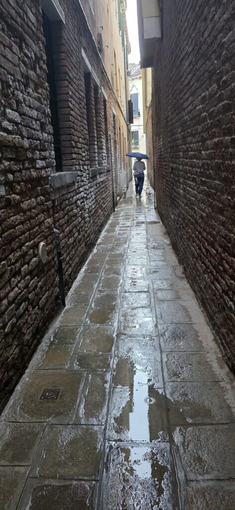 A narrow Venetian alley in the rain, wet flagstones reflecting a figure walking away under an umbrella