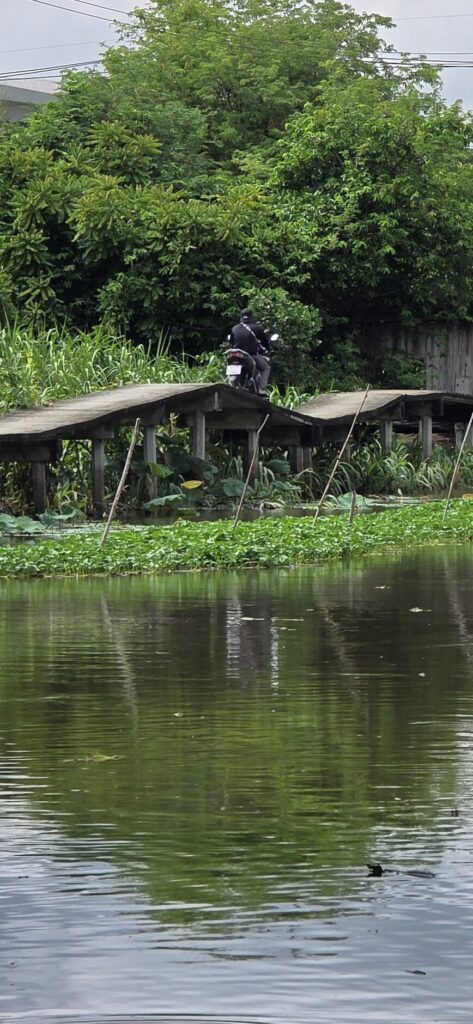 A canal on the edge of Bangkok with a low wooden footbridge crossing it in three humped sections, a rider on a motorbike halfway across, dense green trees behind and water hyacinth and reflections filling the foreground
