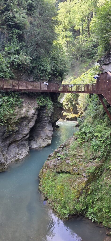 The mouth of the gorge opening out, with a rust red steel footbridge spanning the rock walls, trees crowding both sides and a calm pale green pool below
