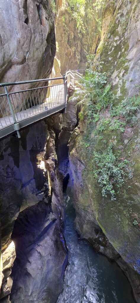 A narrow steel walkway with railings bolted to the sheer wall of the gorge, crossing over the dark slot with the stream far below and ferns growing out of the rock