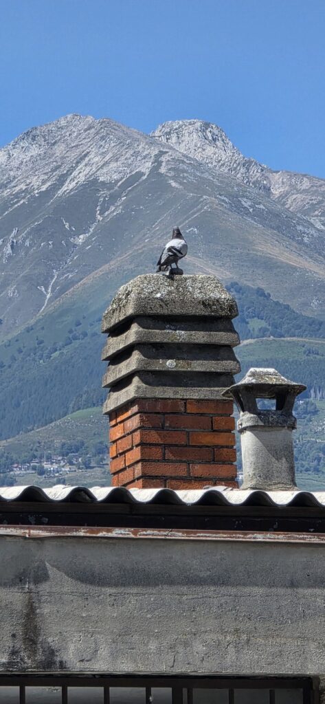 A grey and black crow perched on a stacked stone chimney cap above a red brick chimney and a corrugated roof edge, with a large bare mountain ridge filling the sky behind