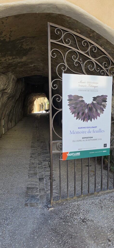 Iron gate at the mouth of a stone tunnel at the Musee-Bibliotheque Francois Petrarque, carrying a banner for the exhibition Memoire de feuilles by Marine Guillemot showing a pair of wings made of purple and grey leaves