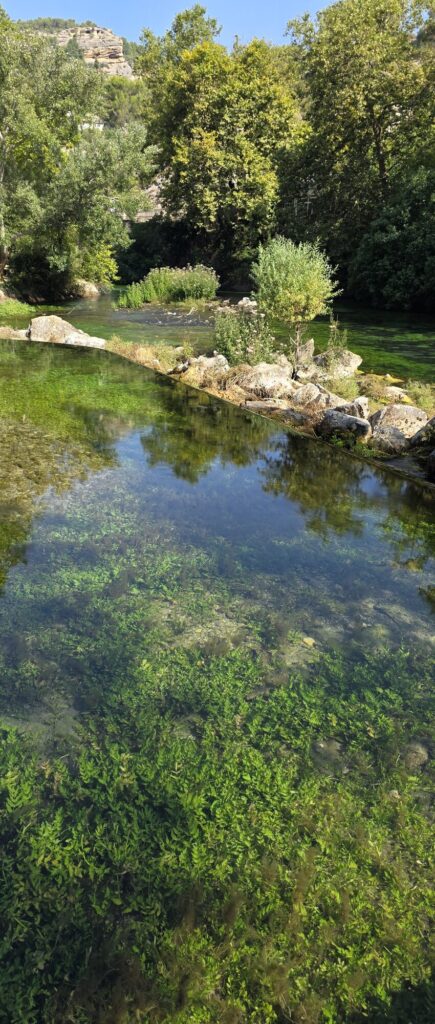 Shallow clear river with bright green weed streaming under the surface, pale rocks along the far bank, poplars and a limestone crag behind