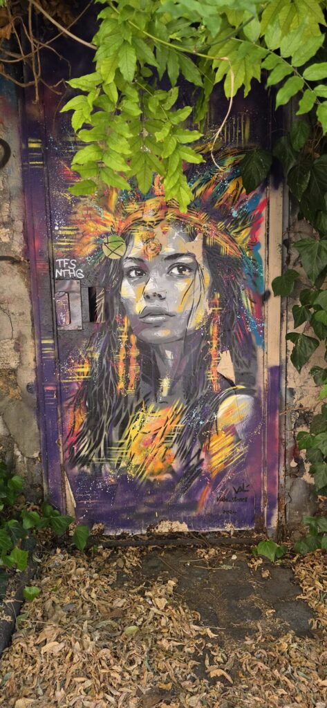 Stencilled portrait of an indigenous woman in a feathered headdress sprayed onto an old wooden door, her face in grey realism against slashes of orange, yellow and turquoise, wisteria leaves hanging over the top of the frame