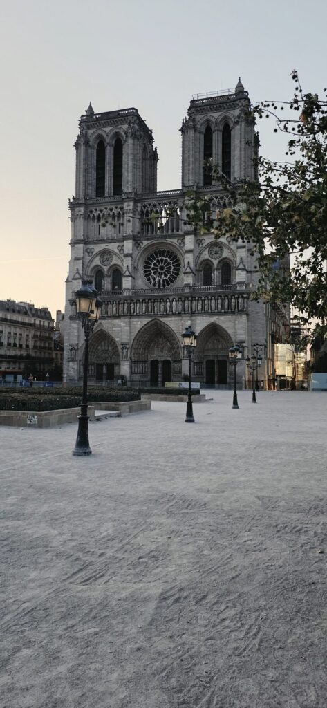 West facade of Notre-Dame cathedral at dawn with both towers and the rose window, the square in front completely empty except for old street lamps